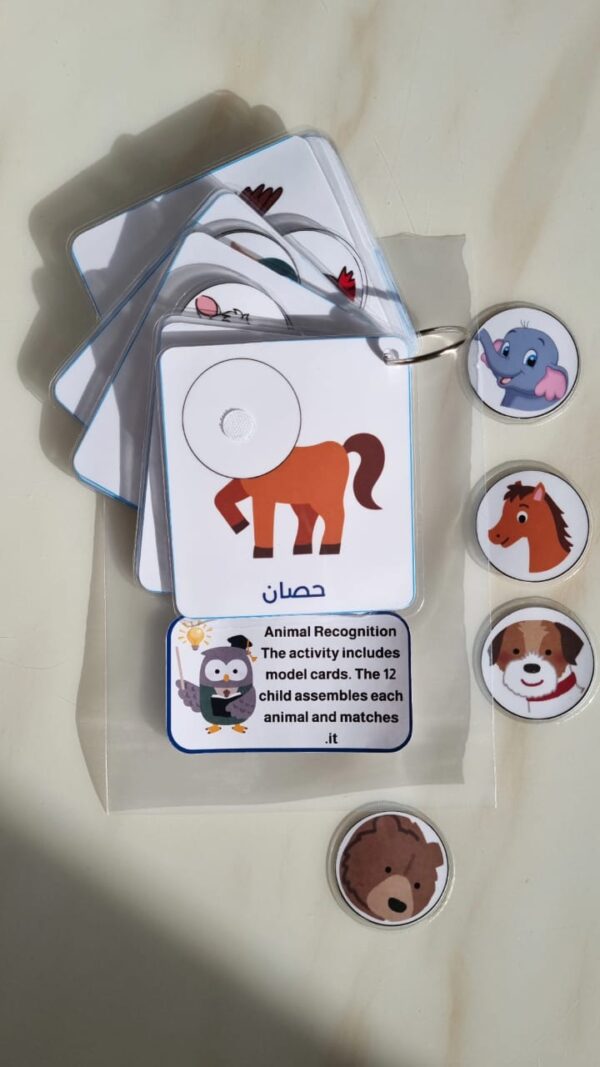 التعرف على الحيوانات🌟