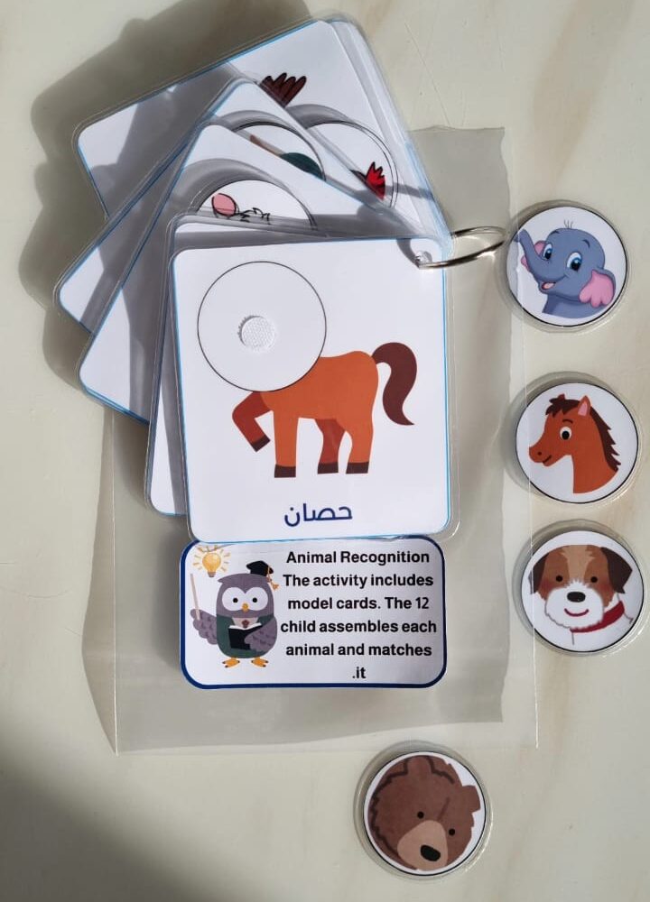 التعرف على الحيوانات🌟