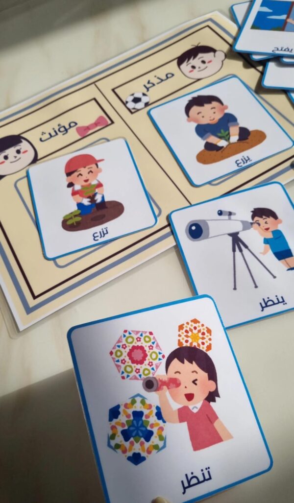 بطاقات تصنيف المذكر والمؤنث🌟